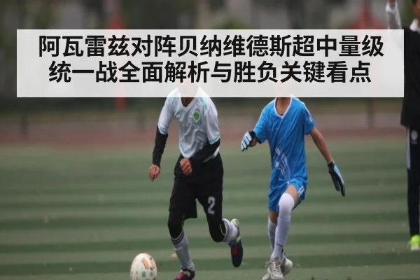 阿瓦雷兹对阵贝纳维德斯超中量级统一战全面解析与胜负关键看点