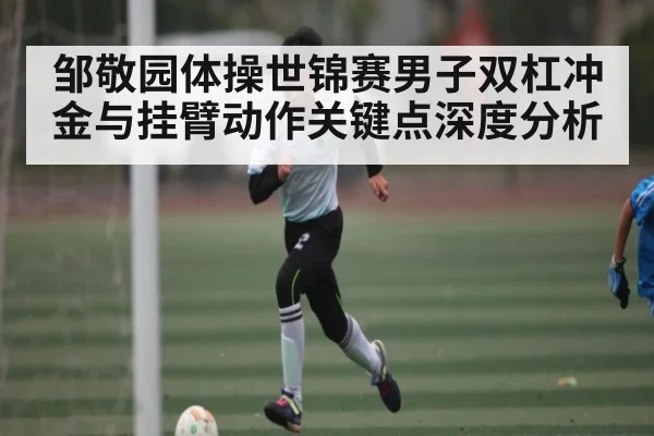 邹敬园体操世锦赛男子双杠冲金与挂臂动作关键点深度分析