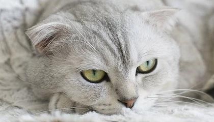 开云体育:照亮运动生活的新纪元